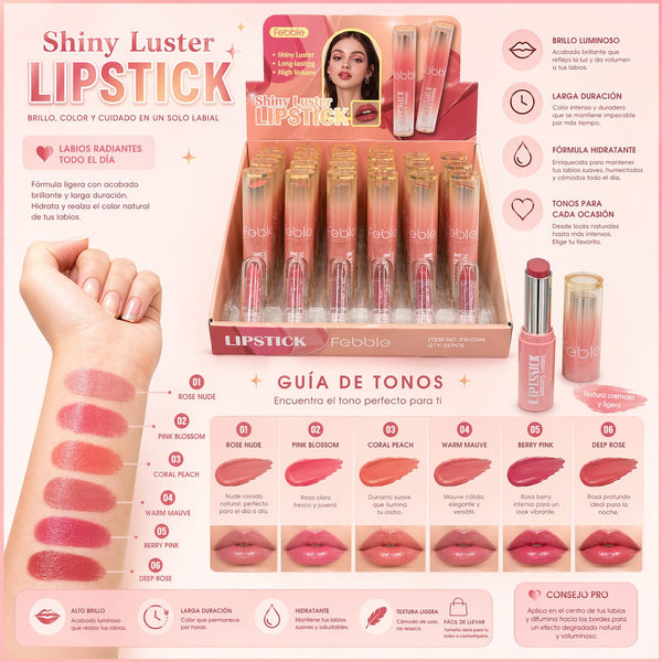 Labial en barra full color shinny Febble