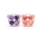 Set esponjas bear | 4 unidades