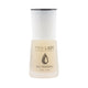  Base coat tradicional